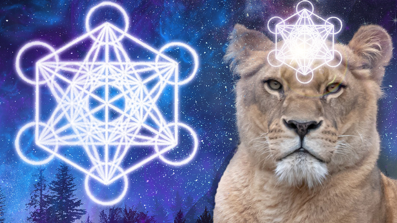 Infinite Possibility - Lions Gate Portal Activation